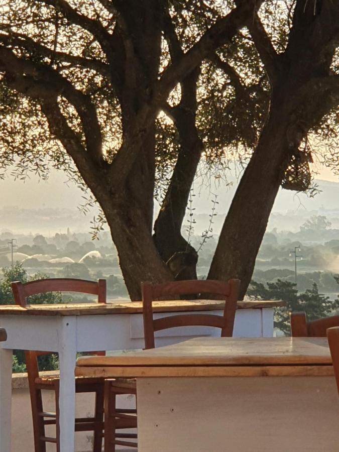Nacchinono Bed & Breakfast Olbia Exterior photo